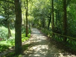 Senda Del Penafrancia